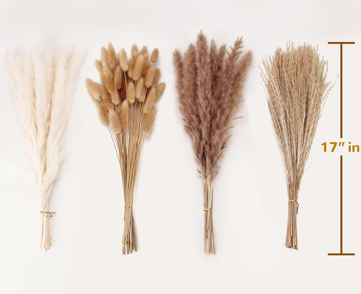 100 Stems Dried Pampas Grass & Bunny Tails Fall Boho Decor - Image 2