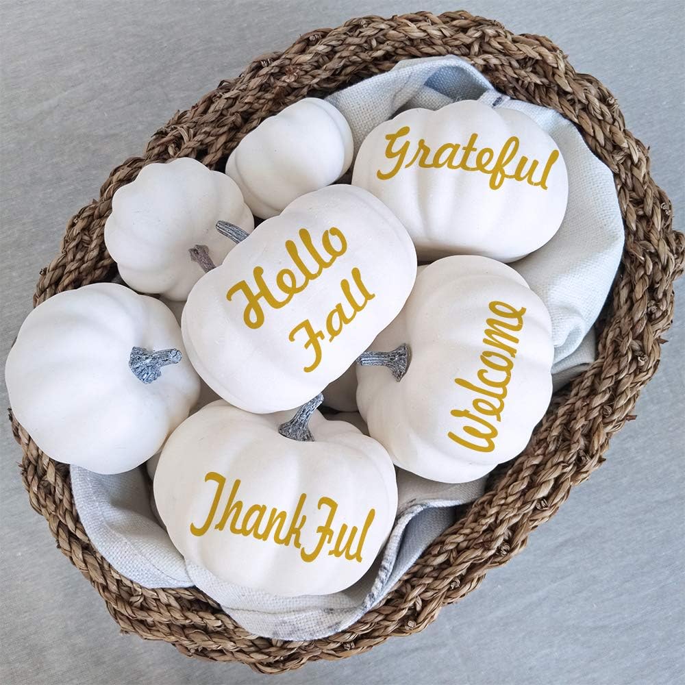 12-Pc Assorted Rustic White Artificial Pumpkins for Fall, Halloween & Thanksgiving Decor - Image 2