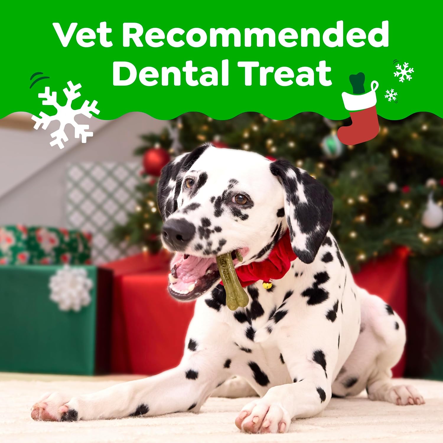 1785577995 greenies vet rec natural petite gingerbread dental dog treats ltd ed 6oz10ct.jpg