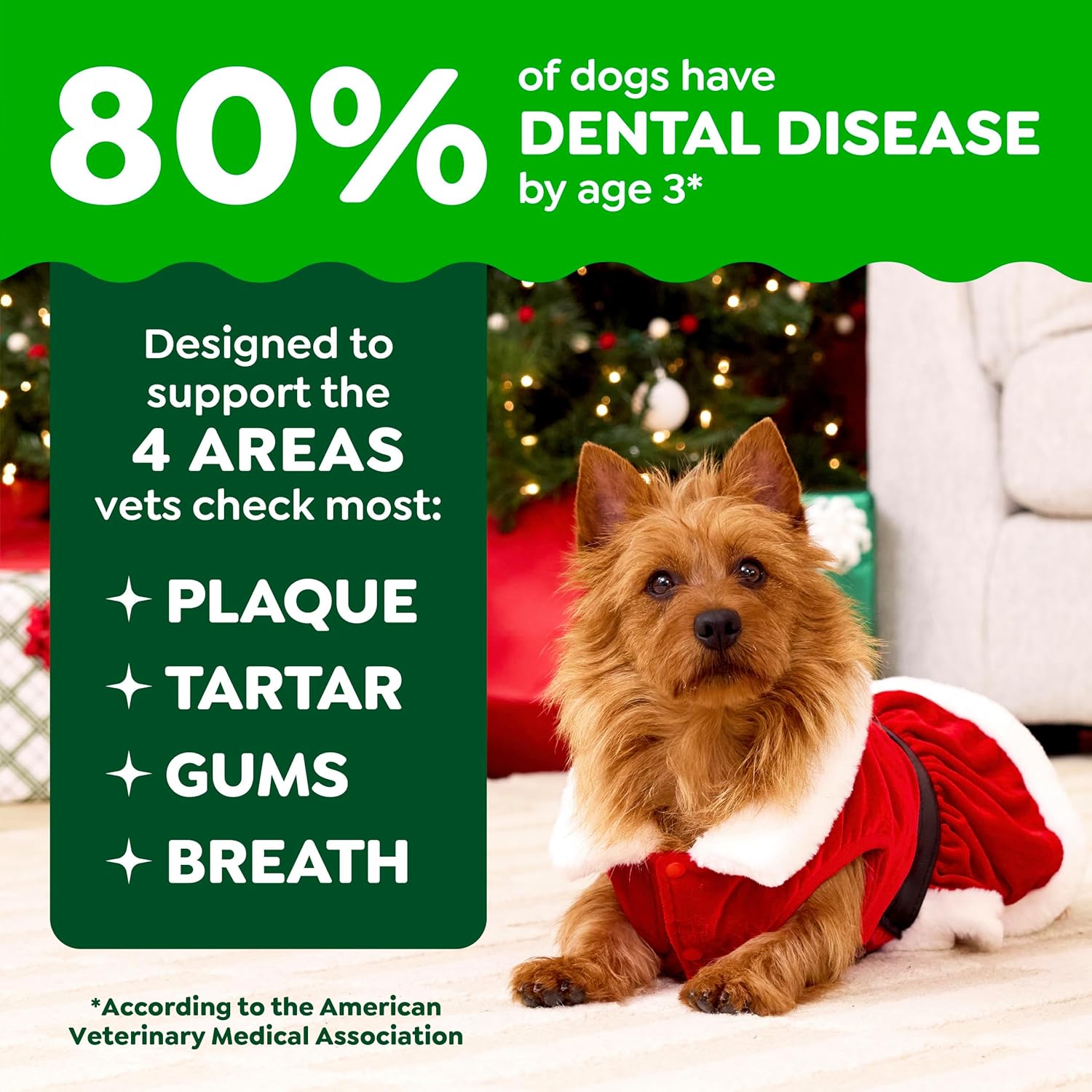1785577996 greenies vet rec natural petite gingerbread dental dog treats ltd ed 6oz10ct.jpg