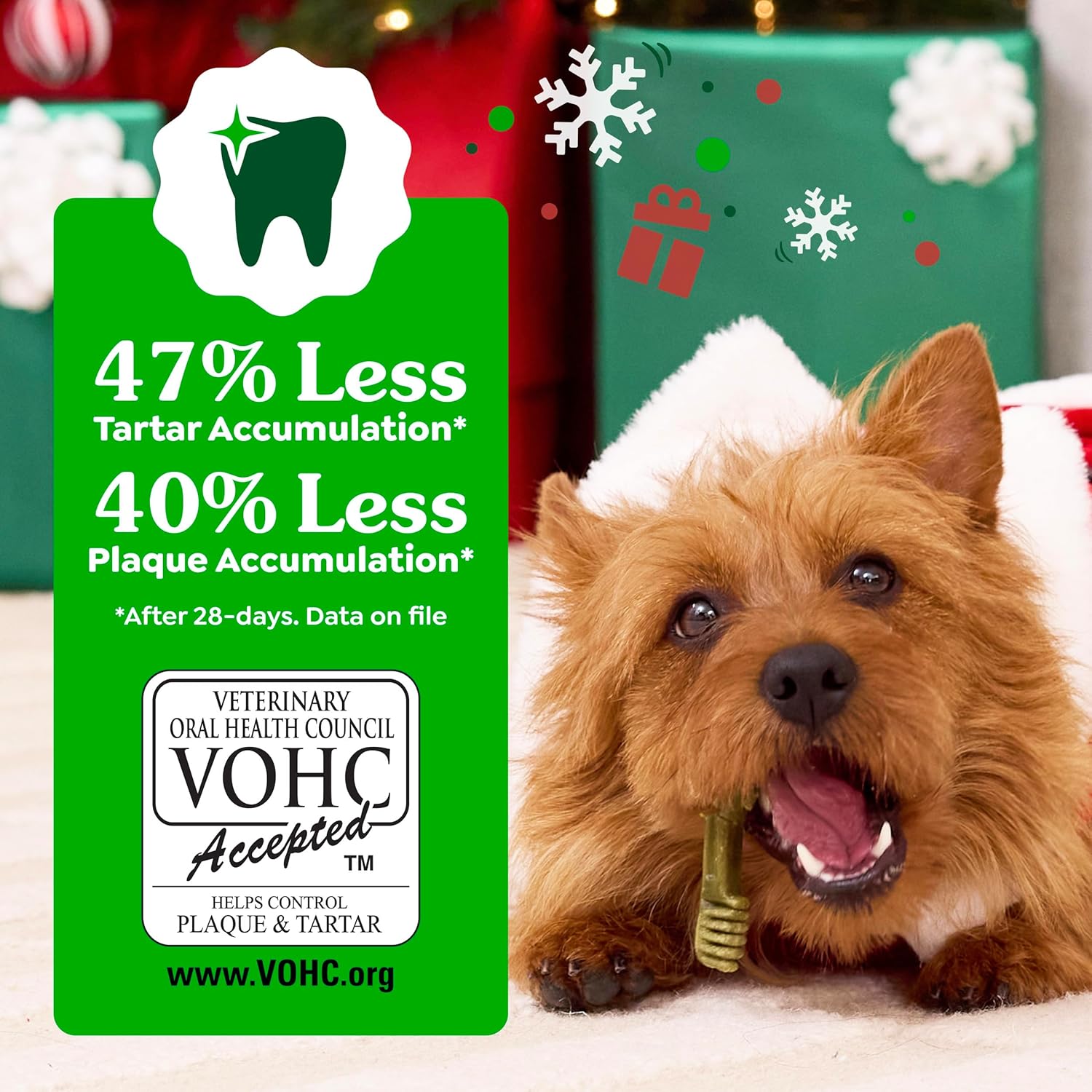 1785577998 greenies vet rec natural petite gingerbread dental dog treats ltd ed 6oz10ct.jpg