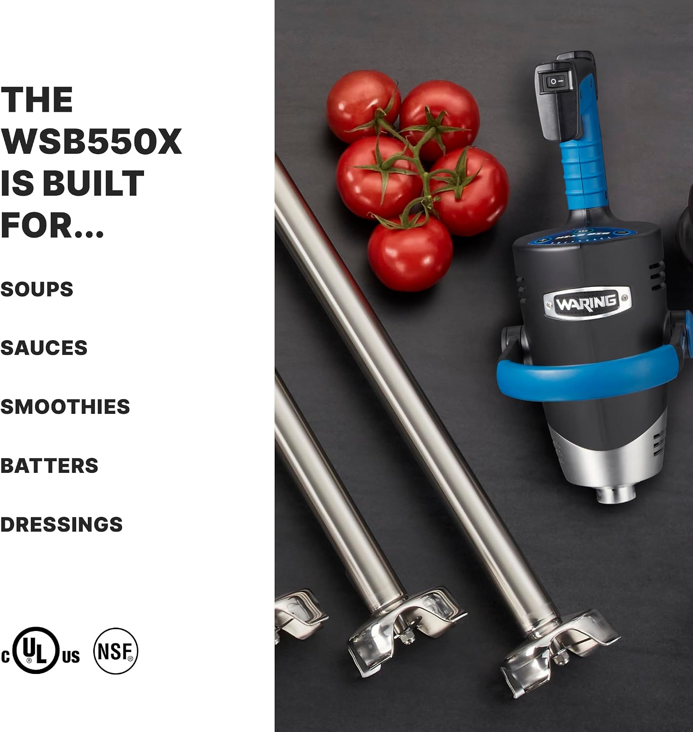 Waring EvolutionX 15-Gallon Immersion Blender Review - Image 2