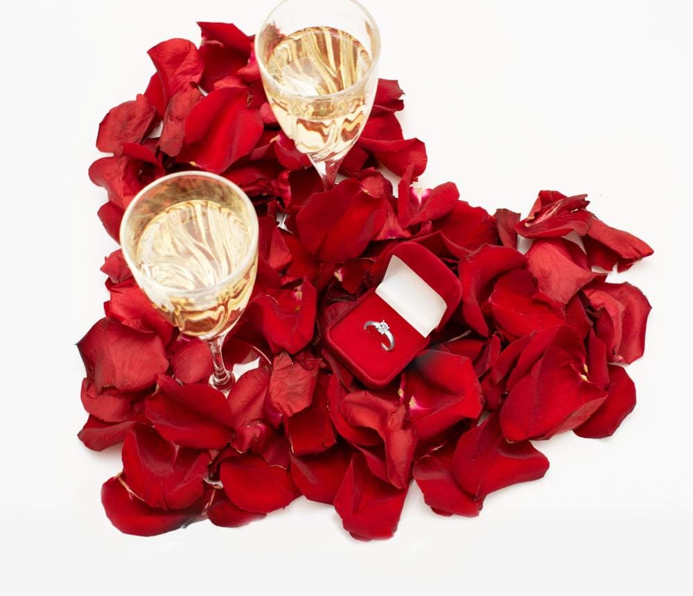 Valentine's Day I Love You Heart Balloon Kit & Rose Petals - Image 5