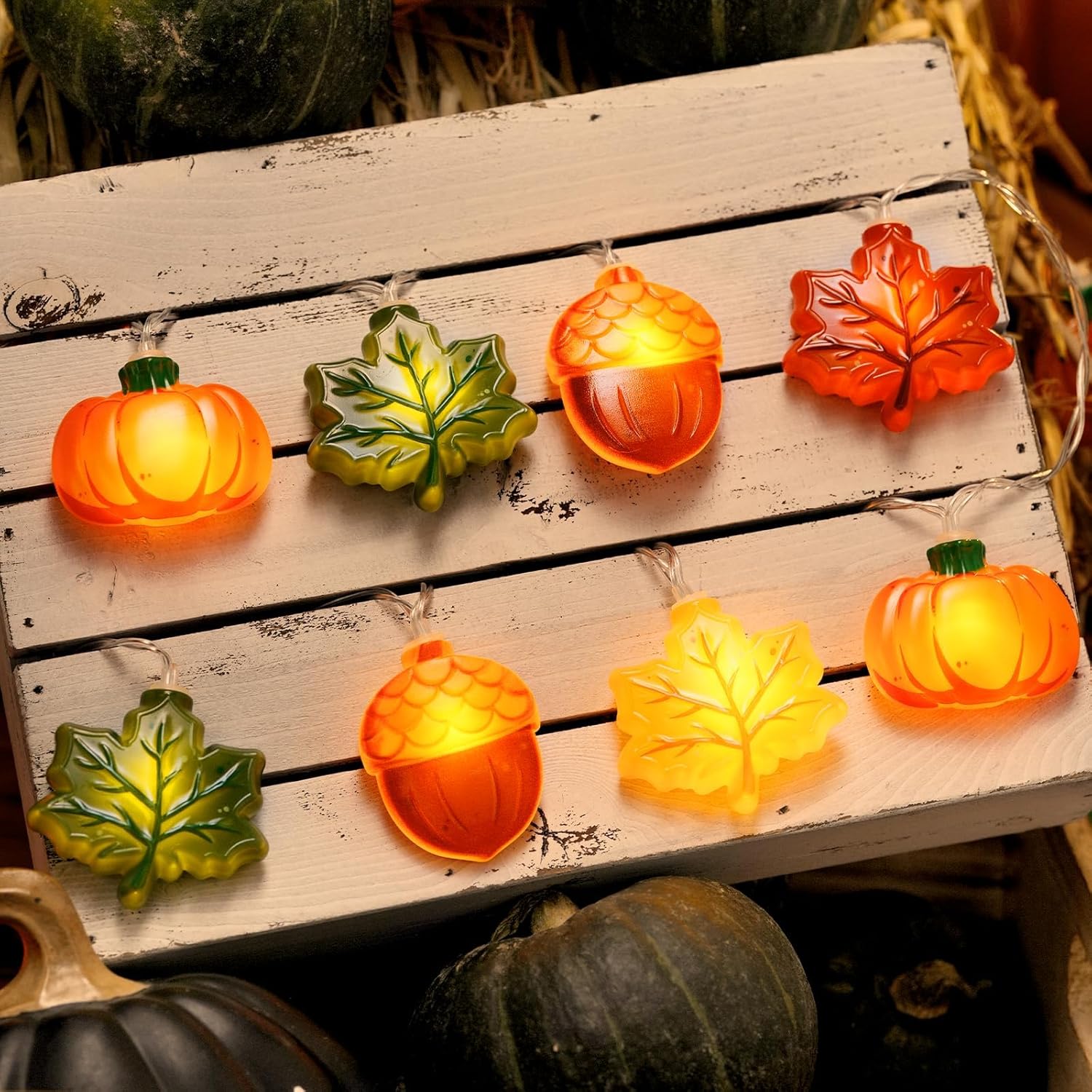 2026 Fall Decor Review: 9.8FT 20LED Battery Lights with Timer & 8 Modes - Image 4