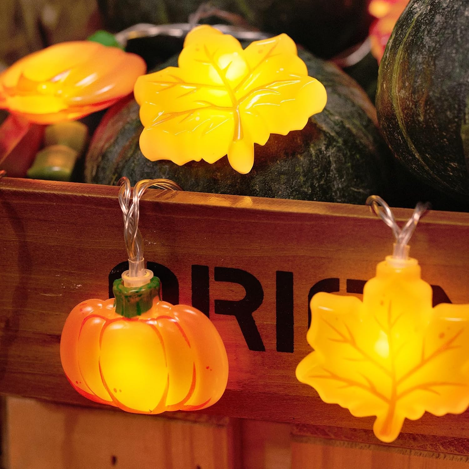 2026 Fall Decor Review: 9.8FT 20LED Battery Lights with Timer & 8 Modes - Image 5
