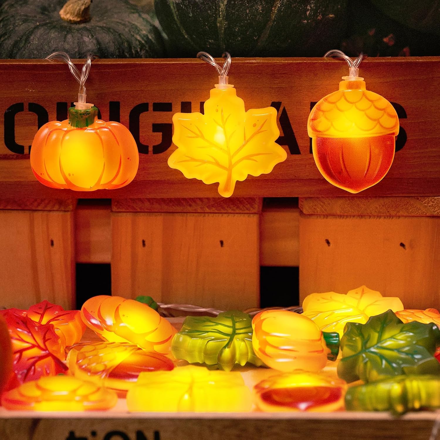 2026 Fall Decor Review: 9.8FT 20LED Battery Lights with Timer & 8 Modes - Image 7