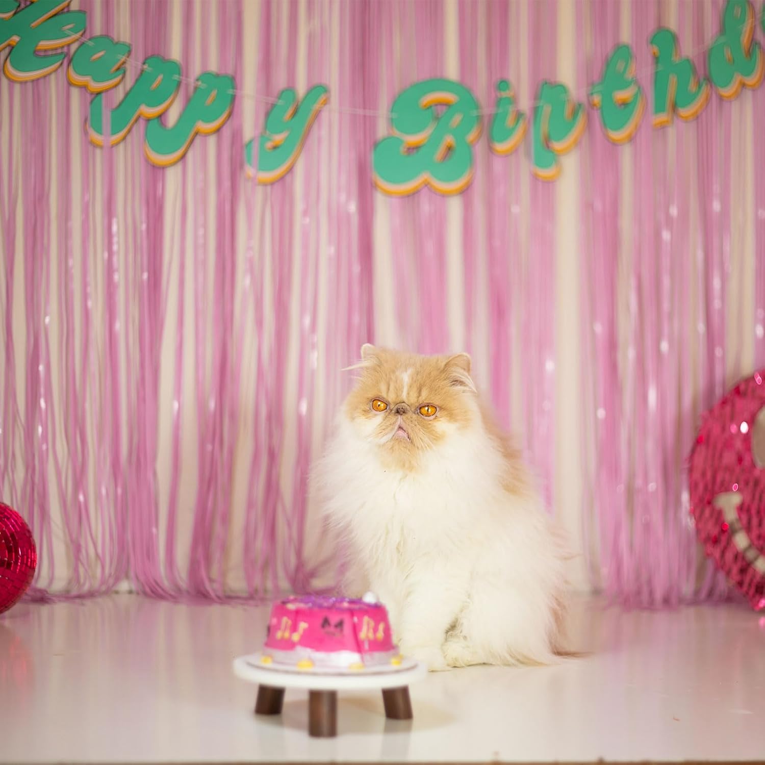 Pastel Pink Tinsel Fringe Backdrop: Birthday, Valentine's, Showers - Image 4