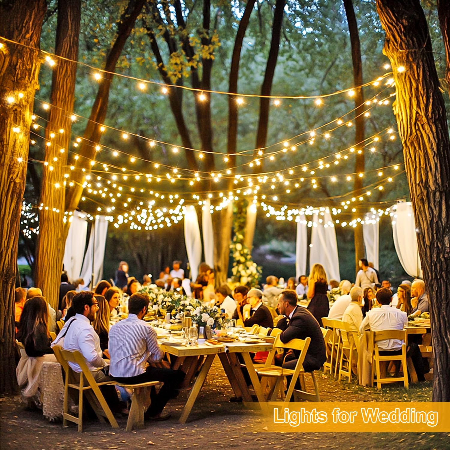 1000 LED Warm White Christmas Lights, Remote, Plug-in, Clear Wire, Indoor/Outdoor. - Image 5