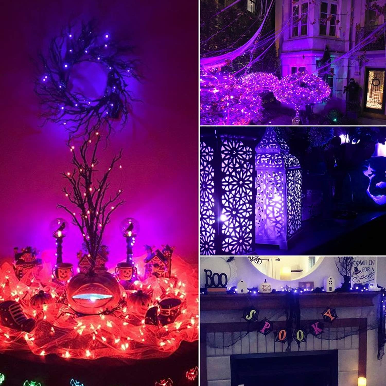 Brightown 12-Pack Purple Battery Halloween Fairy Lights Review - Image 2