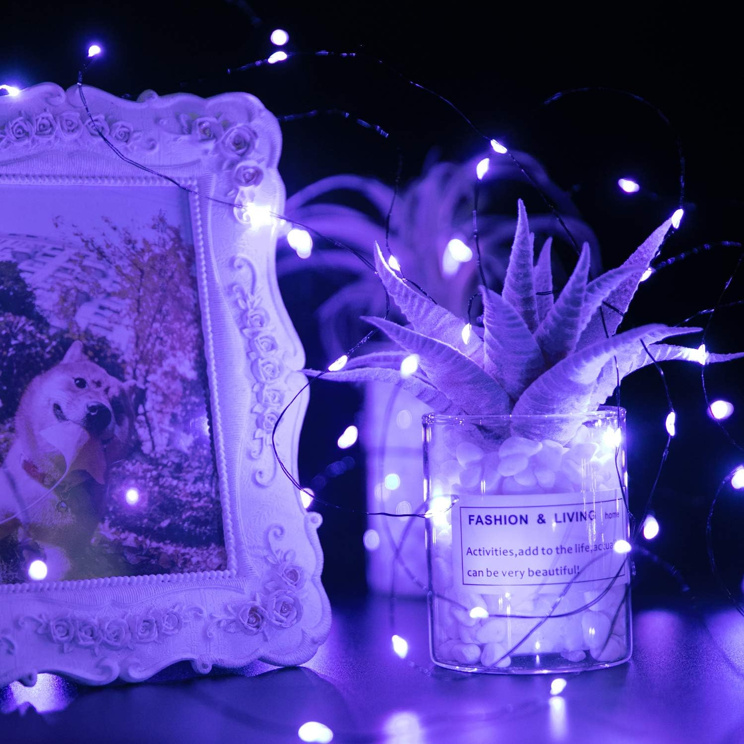 Brightown 12-Pack Purple Battery Halloween Fairy Lights Review - Image 3