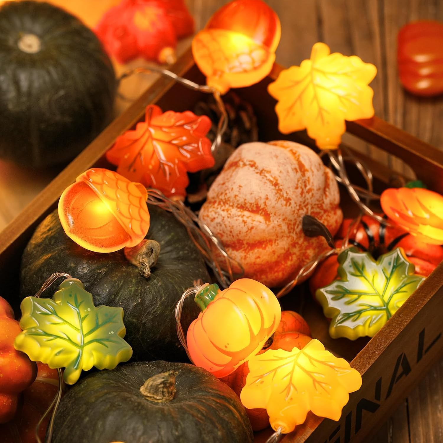 2026 Fall Decor Review: 9.8FT 20LED Battery Lights with Timer & 8 Modes - Image 2