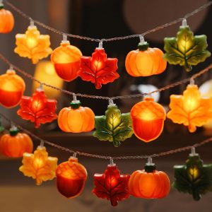 Fall Decor, Fall String Lights, 9.8FT 20LED Thanksgiving Lights | Fall Lights Battery Operated (Not Included), Timer Function and 8 Flashing Mode, Autumn Decorations for Home Indoor 2026