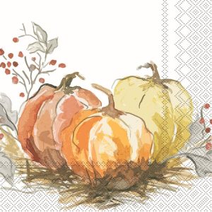 IHR Ideal Home Range Cocktail Napkins Disposable 3-Ply Paper Party Napkin Pack, 5" x 5", Painted Pumpkin, 20-Count