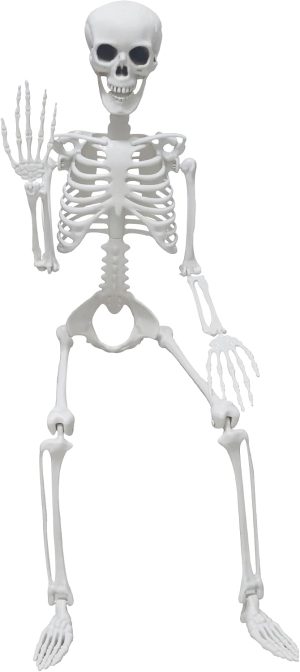 3Ft Halloween Skeleton Plastic Human Bones with Movable Joints for Halloween Decor