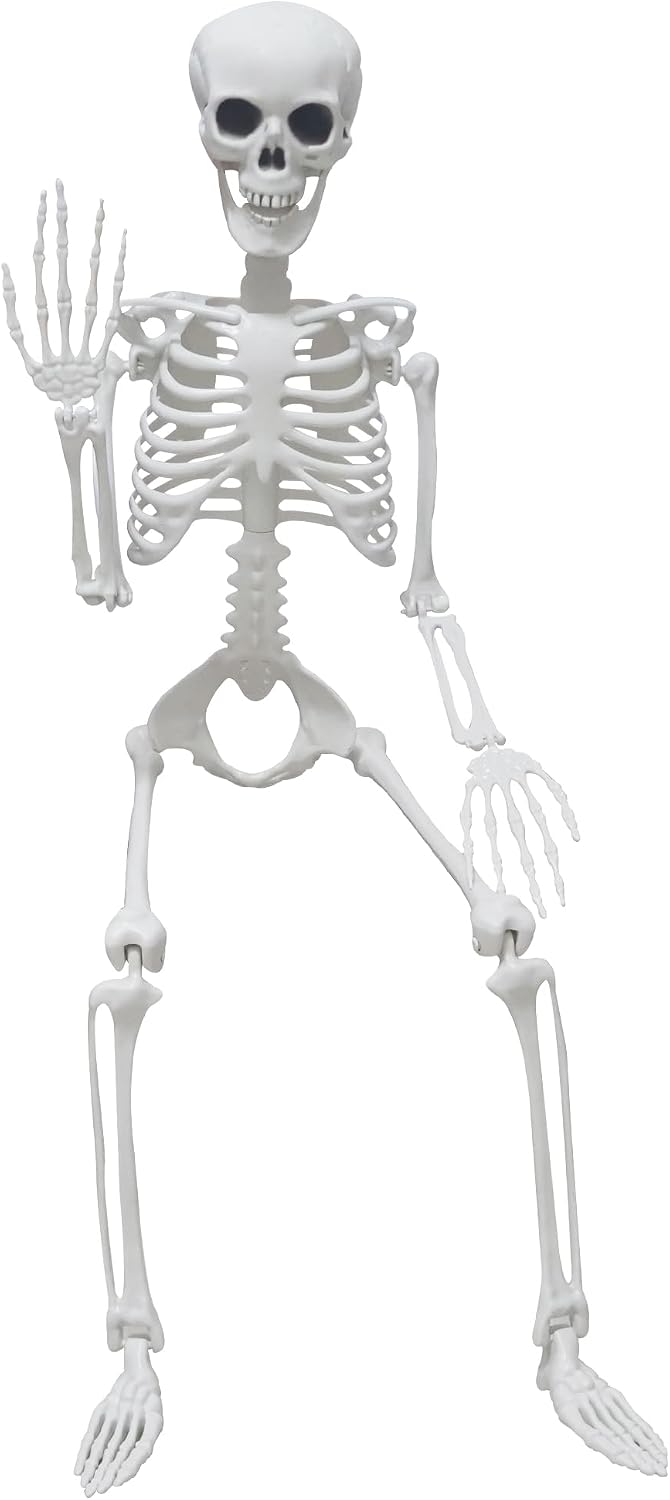 3Ft Halloween Skeleton Plastic Human Bones with Movable Joints for Halloween Decor
