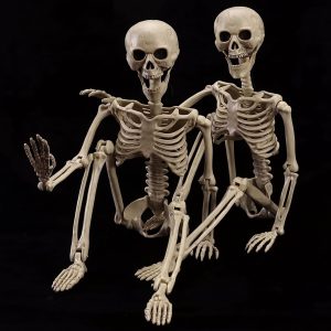 2-Pack 40" Pose-N-Stay Halloween Skeletons, Life-Size Full Body Realistic Posable Skeleton with Movable Joints, Spooky Haunted House Decor for Outdoor Yard, Patio & Front Porch