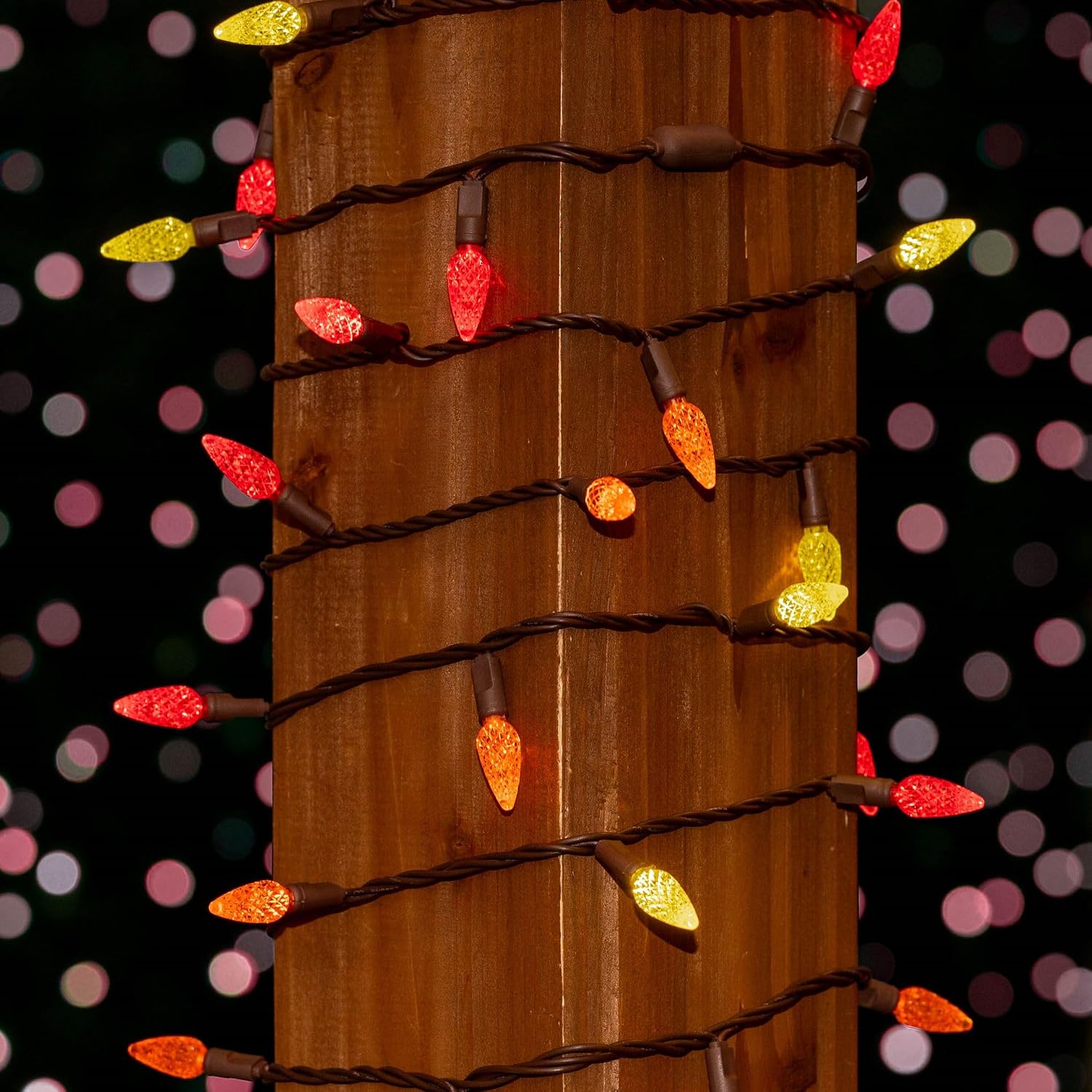 Novelty Lights 24FT 70 LED C6 Outdoor Thanksgiving/Xmas Review - Image 3