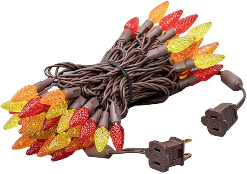 Novelty Lights 24FT 70 LED C6 Outdoor Thanksgiving/Xmas Review - Image 4