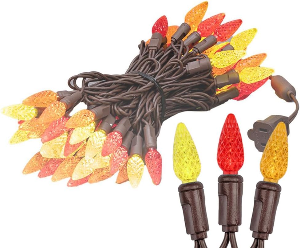 Novelty Lights 24FT 70 LED C6 Outdoor Thanksgiving/Xmas Review - Image 5
