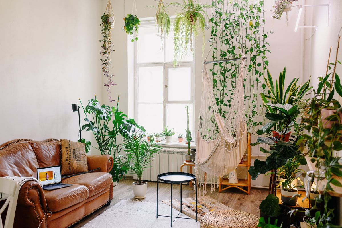 Living room with an air purifier improving indoor air quality