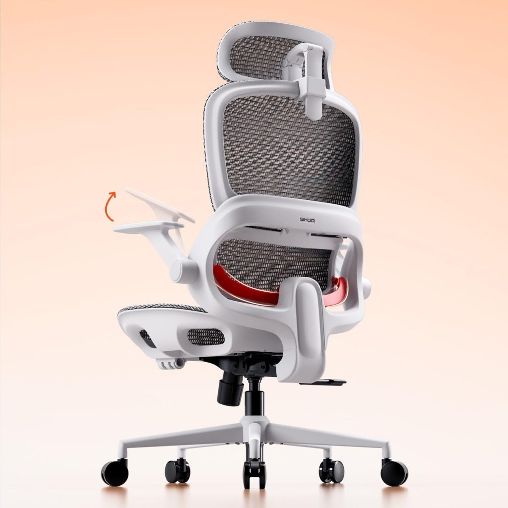 SIHOO B100 ergonomic office chair mesh back adaptive lumbar support grey