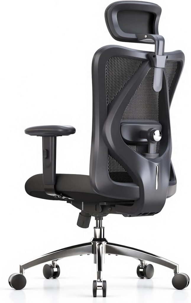 SIHOO M18 ergonomic office chair with mesh back and headrest